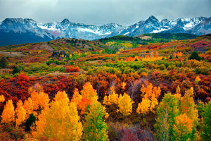 BONUS: Fall Drive Playlist