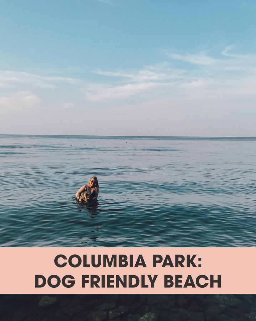 Columbia Park: Dog Friendly Beach
